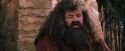 PF-Potterish_09484.jpg