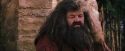 PF-Potterish_09485.jpg