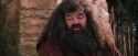 PF-Potterish_09486.jpg