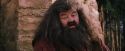 PF-Potterish_09487.jpg