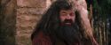 PF-Potterish_09494.jpg