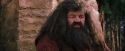 PF-Potterish_09495.jpg