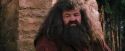 PF-Potterish_09497.jpg