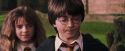 PF-Potterish_09499.jpg