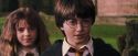 PF-Potterish_09500.jpg