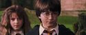 PF-Potterish_09501.jpg