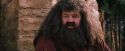 PF-Potterish_09503.jpg