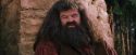 PF-Potterish_09505.jpg