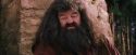 PF-Potterish_09506.jpg