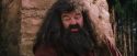 PF-Potterish_09507.jpg