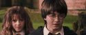 PF-Potterish_09513.jpg