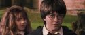 PF-Potterish_09514.jpg