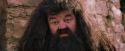 PF-Potterish_09517.jpg