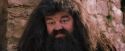PF-Potterish_09518.jpg