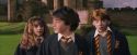 PF-Potterish_09521.jpg