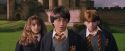 PF-Potterish_09522.jpg