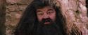 PF-Potterish_09523.jpg