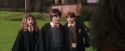 PF-Potterish_09525.jpg