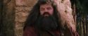 PF-Potterish_09527.jpg