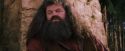 PF-Potterish_09528.jpg