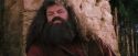 PF-Potterish_09529.jpg