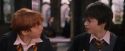 PF-Potterish_09549.jpg