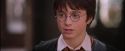 PF-Potterish_09555.jpg