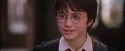 PF-Potterish_09556.jpg