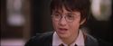 PF-Potterish_09557.jpg