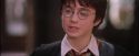 PF-Potterish_09560.jpg