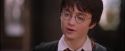 PF-Potterish_09561.jpg