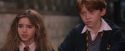 PF-Potterish_09574.jpg
