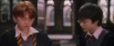 PF-Potterish_09587.jpg
