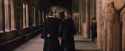 PF-Potterish_09593.jpg