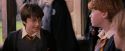PF-Potterish_09602.jpg