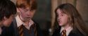 PF-Potterish_09606.jpg