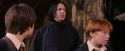 PF-Potterish_09610.jpg