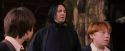 PF-Potterish_09611.jpg