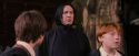 PF-Potterish_09613.jpg