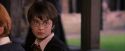 PF-Potterish_09614.jpg
