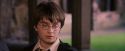 PF-Potterish_09615.jpg