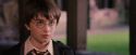 PF-Potterish_09616.jpg