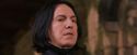 PF-Potterish_09617.jpg