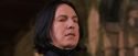 PF-Potterish_09620.jpg