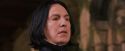 PF-Potterish_09625.jpg