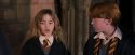 PF-Potterish_09627.jpg