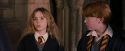 PF-Potterish_09629.jpg