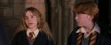 PF-Potterish_09632.jpg