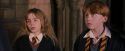 PF-Potterish_09633.jpg