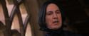 PF-Potterish_09634.jpg